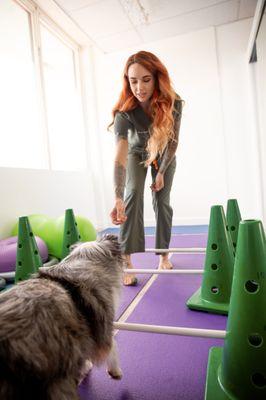 Therapeutic Exercise