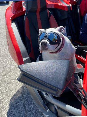 Bay Valley Animal Hospital