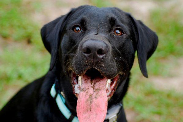 Sinders photoshoot definitely turned some heads!