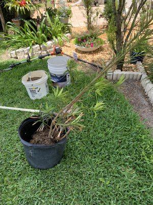 Get R Green Sod and Landscaping