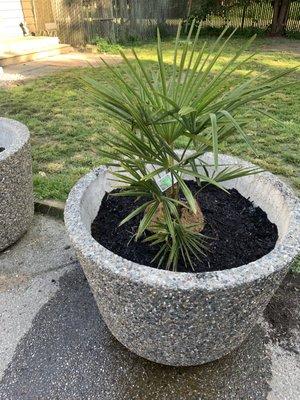 T Grover Enterprises