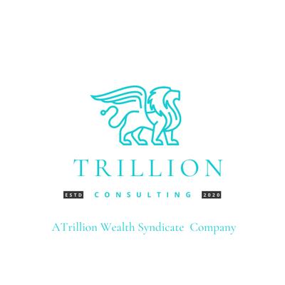 The Trillion Wealth Syndicate a business and tax consulting firm.