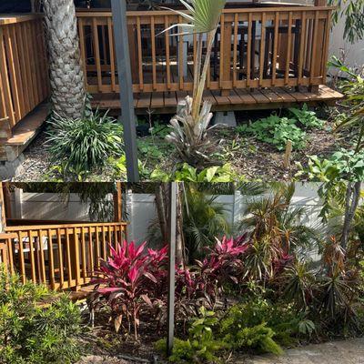 Straight to the Curb