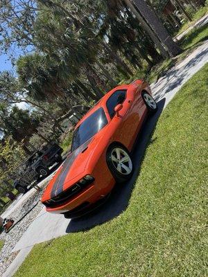 Fox Glass Tinting