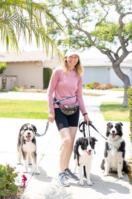 Les Pawtounes Dog Training