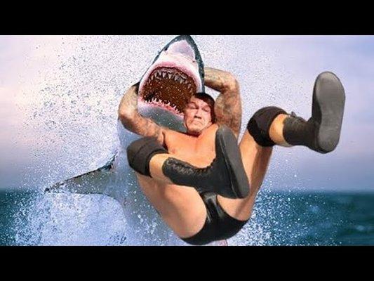 Our Lady of the Assumption School