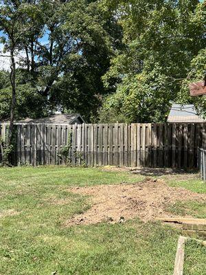 Rlayang Tree service