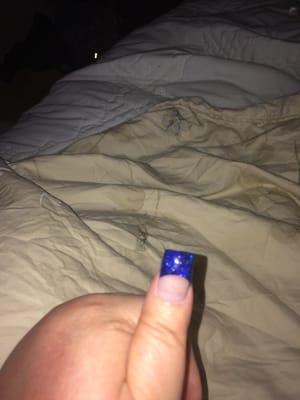 Here's the #seahawks blue I just had done! I'm taking the pic in the dark so there are weird shadows, sorry. #yelpreview