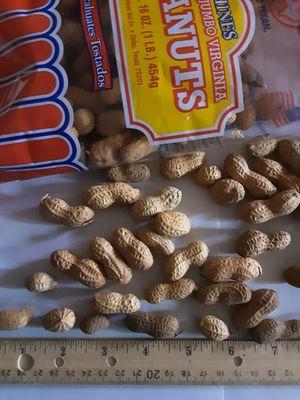 Hines Produce
