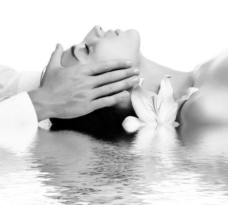 Bodies Kneaded