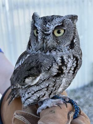 Orange County Bird of Prey Center