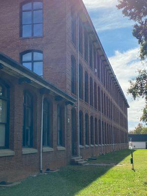 Commercial Building- Bat Exclusion, Removal, Wildlife Damage Repairs & CleanUp.