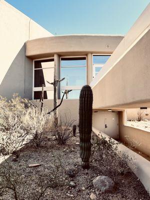 Saguaro National Park - Tucson