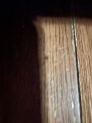 Beachline Transportation Group