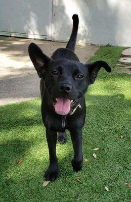 The Greener Side Haven