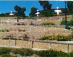 Gary Parker Construction