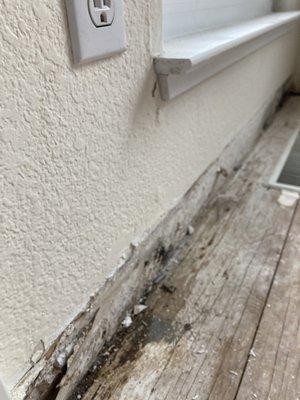 SERVPRO of SE Sacramento