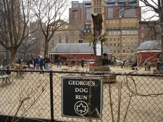 George's Dog Run