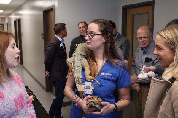 Iowa Veterinary Specialties