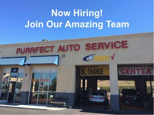 Purrfect Auto Service