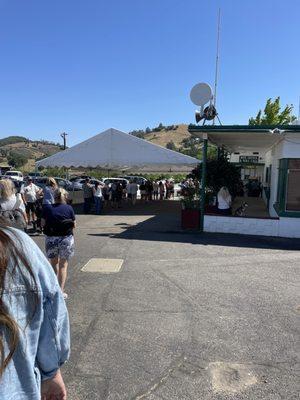 Calaveras County Fair & Jumping Frog Jubilee