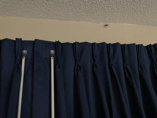 Clinton Inn & Suites