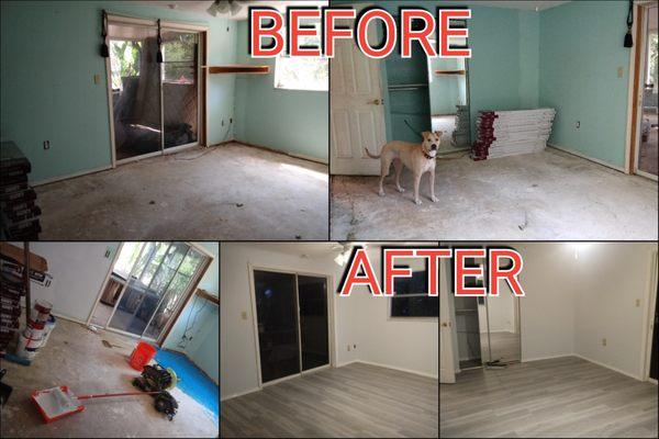 Jack's Hauling / Removal