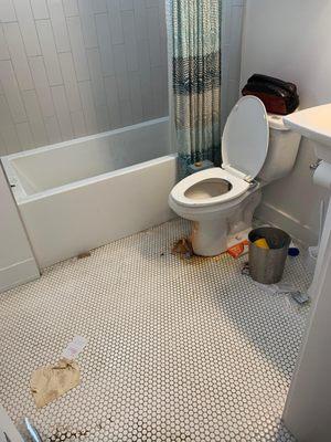 Van’s Brazilian cleaning service