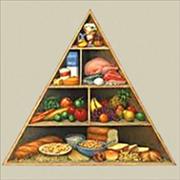 The Acupuncture & Chiropractic Center