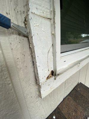 Lil Man’s Handy Hands