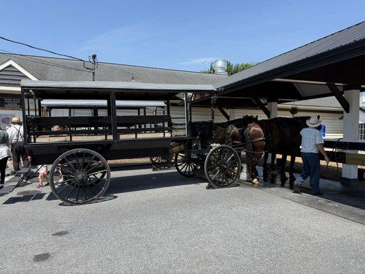 2 horses and the buggy