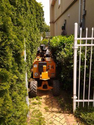 Amboy Tree Service LLC