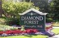 Diamond Forest Apartments