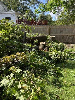 Cousins Tree Service