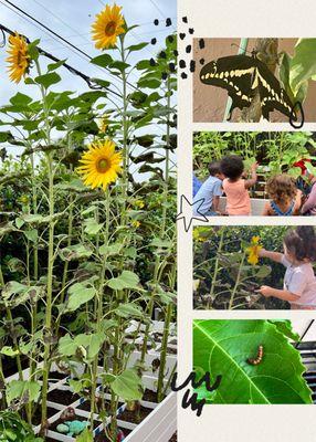 Play Learn Grow Daycare