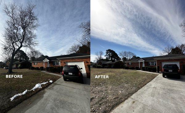 Glen's Complete Tree Service