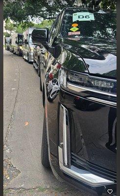 Several high-end black SUVs, including Cadillac Escalade and GMC Yukon models, parked neatly in a lot, highlighting a premium fleet for clie