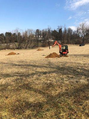 Abbadusky Environmental Services