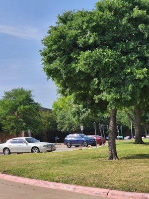 Parking lot in front of voting bldg