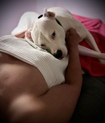 Laser Dynamics - Lubbock