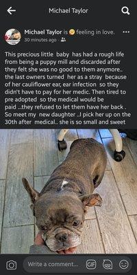 Young-Williams Animal Center