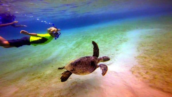Hawaii Surf and Kayak