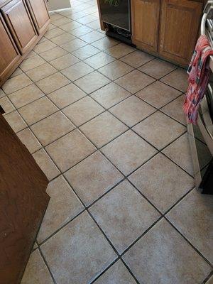 Carpet Cleaning By Tom