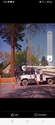 Yard Boss Economy Tree Service