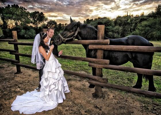 Red Horse Barn, Newcastle Wedding Gardens