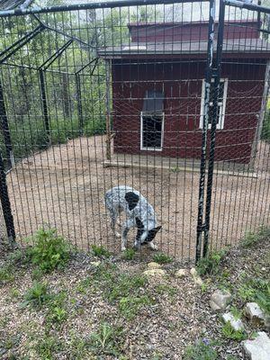 Garden of Eden Pet Resort