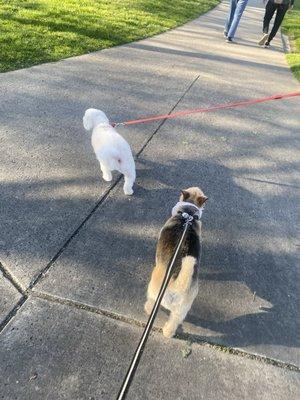 Johnson Park Recreation Center