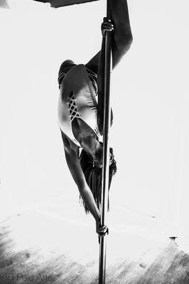 Arkansas Circus Arts