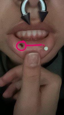 Phoenix Tat2 Supplies