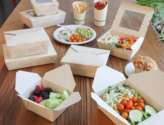 New NoTree containers made with bamboo paper, not trees!